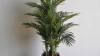 Luxury Artificial Plants Dubai