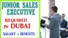 Junior Sales Executive Required in Dubai