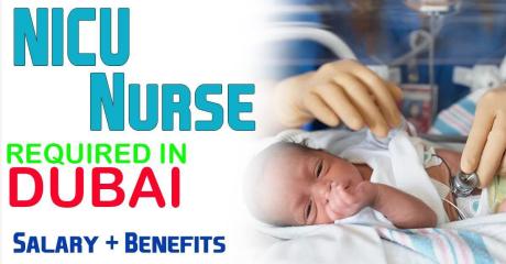 NICU Nurse Required in Dubai