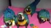 AED 600, Fully Tame Blue And Gold Macaws Chicks For Sale