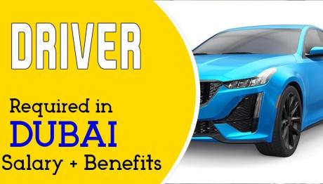 Driver Required in Dubai