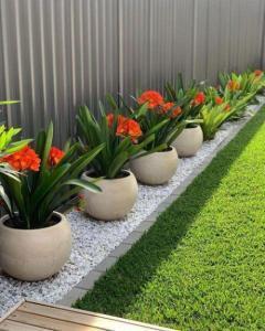 indoor and outdoor Plants installation