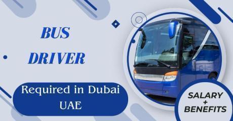 Bus Driver Required in Dubai