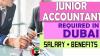 Junior Accountant Required in Dubai