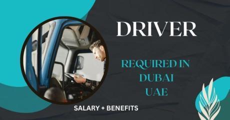 Driver Required in Dubai