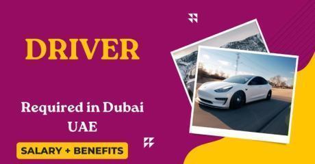 Driver Required in Dubai
