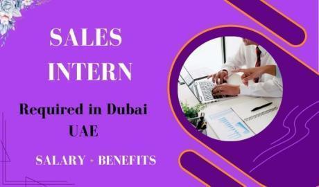 Sales Intern Required in Dubai