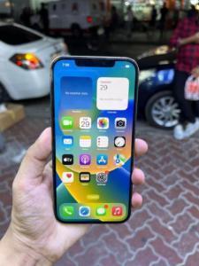 iPhone 12 Pro Max 256GB