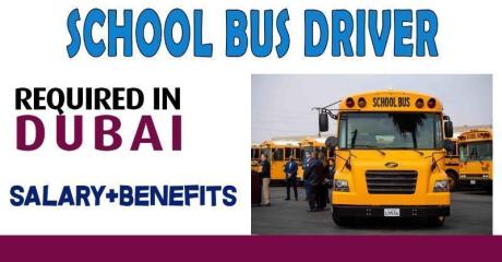 School Bus Driver Required in Dubai