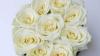 Best Flower Delivery Dubai | Bouquets, Fresh Flowers