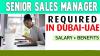 Senior Sales Manager Required in Dubai