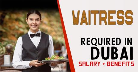 Waitress Required in Dubai