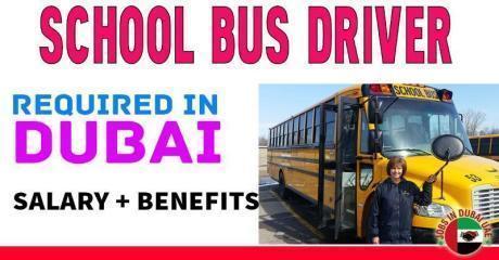 School Bus Driver Required in Dubai