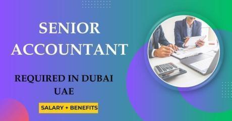 Senior Accountant Required in Dubai