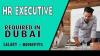 Human Resources Executive Required in Dubai