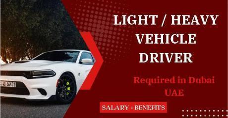 Light/Heavy Vehicle Driver Required in Dubai