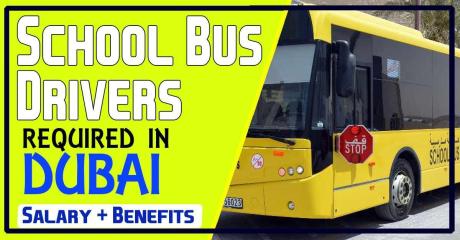 School Bus Drivers Required in Dubai