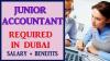 Junior Accountant Required in Dubai