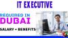 IT Executive Required in Dubai