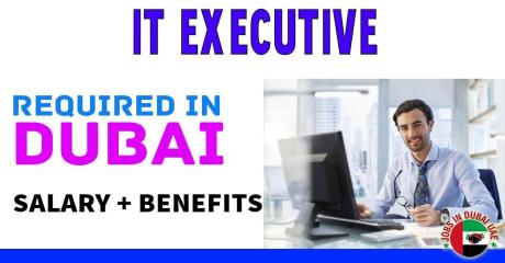 IT Executive Required in Dubai