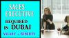 Sales Executive Required in Dubai