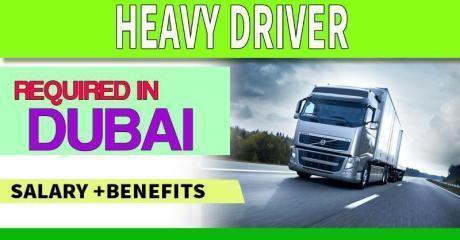 Heavy Driver Required in Dubai