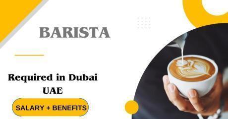 Barista Required in Dubai