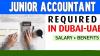 Junior Accountant Required in Dubai