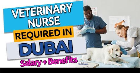 Veterinary Nurse Required in Dubai