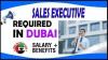 Sales Executive Required in Dubai