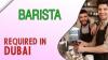 Barista Required in Dubai