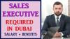 Sales Executive Required in Dubai