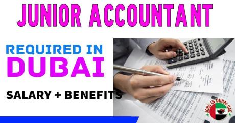 Junior Accountant Required in Dubai